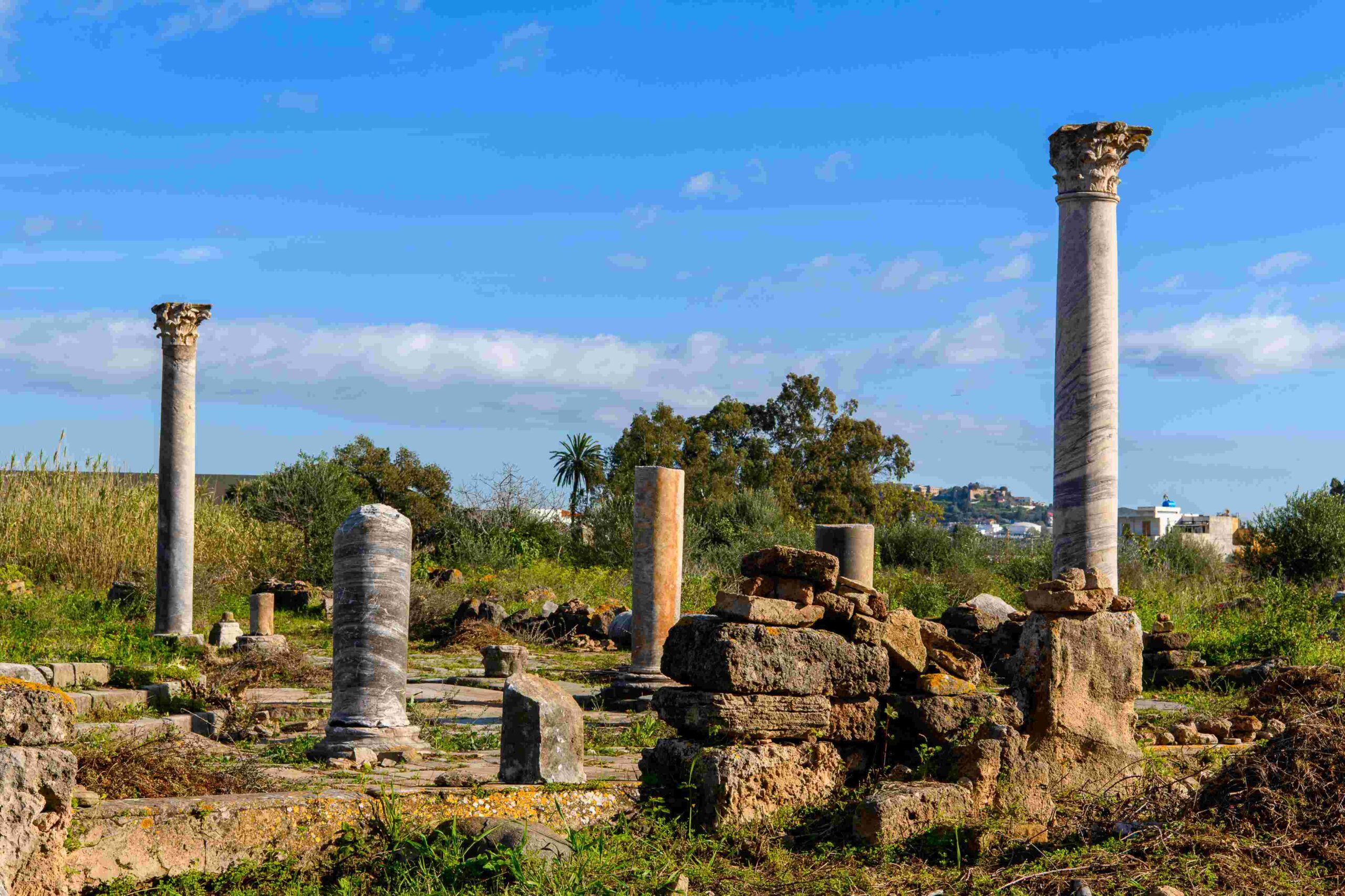ruinas-de-hipona