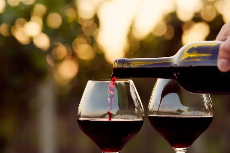 Cata de Vinos en Argelia y su conexión con España