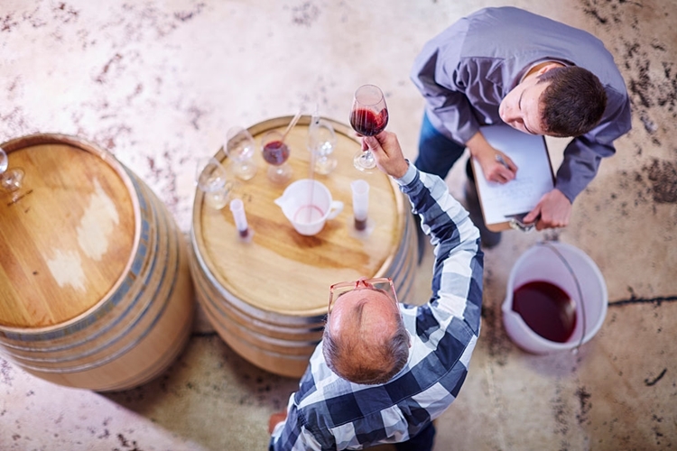 cata de vinos grupo