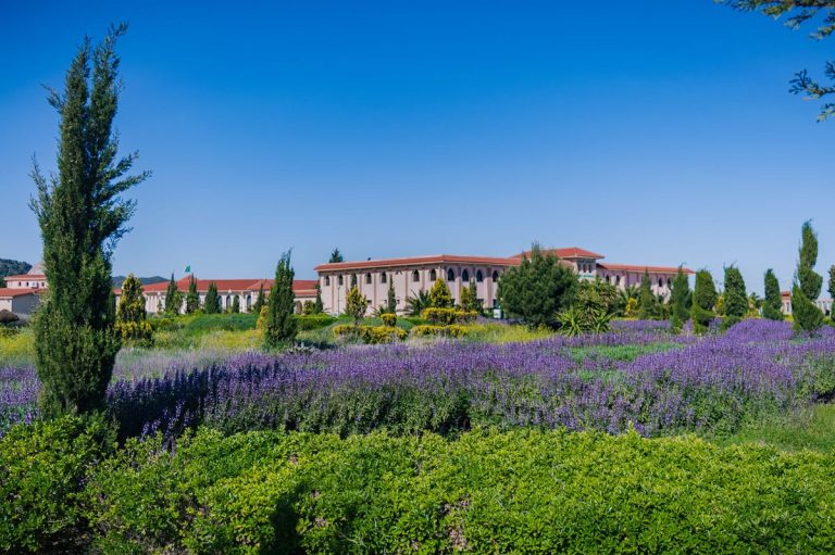 Conoce Tlemcen : ¿Qué ver?