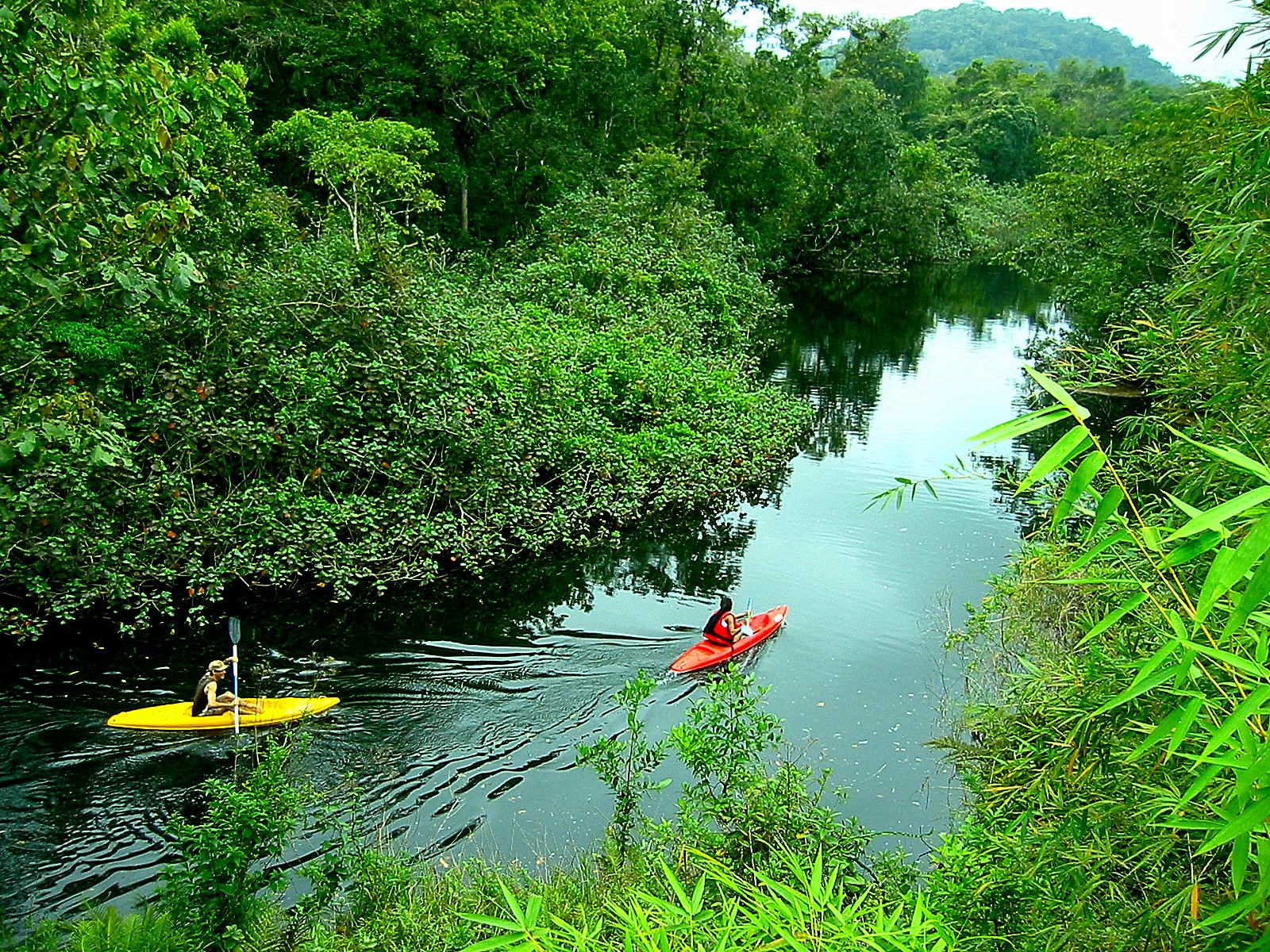 Eco-turismo 