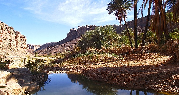 Los oasis de Argelia: descubre las joyas escondidas del desierto y cómo visitarlas
