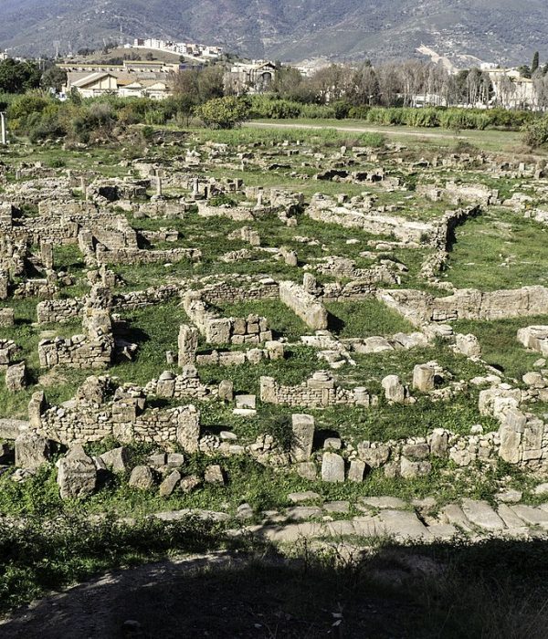 Hippo_Regius_Algeria
