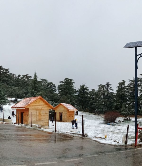 PARQUE NACIONAL DE THENIET EL HAD​